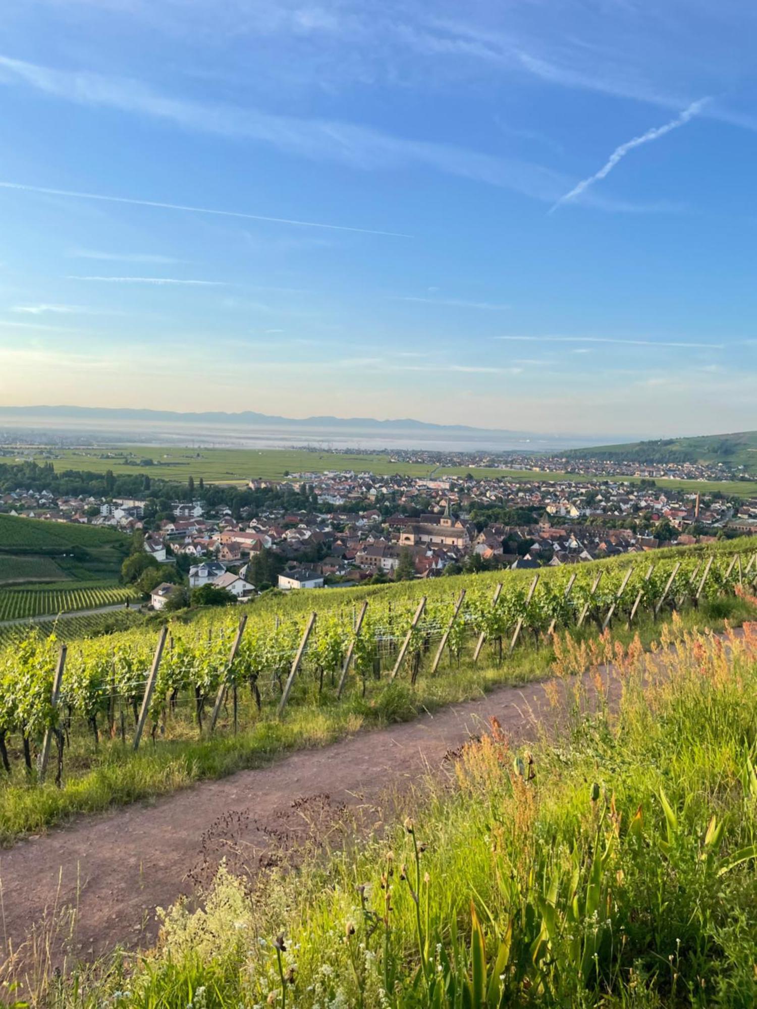 Le Trente A Turckheim Villa Buitenkant foto