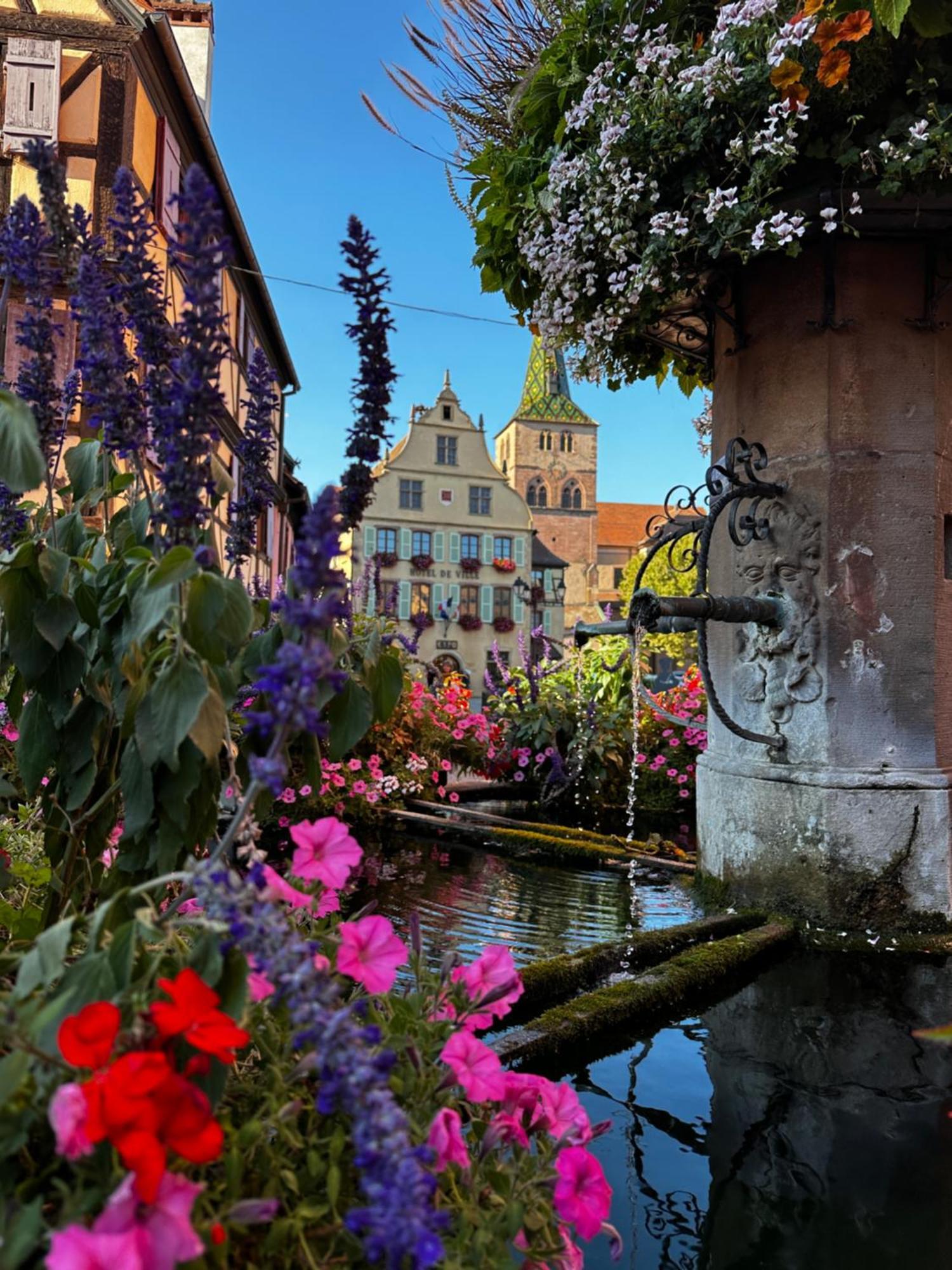 Le Trente A Turckheim Villa Buitenkant foto